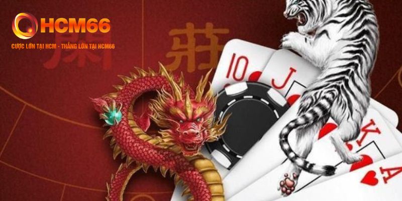 Cách chơi Rồng Hổ cho người chơi mới
